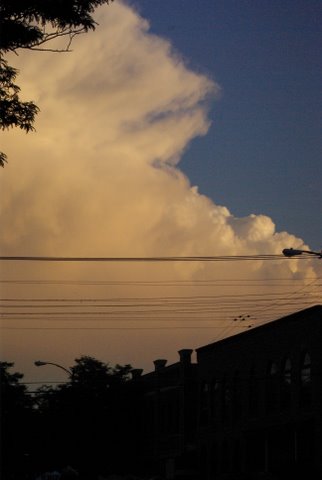 IMGP1242